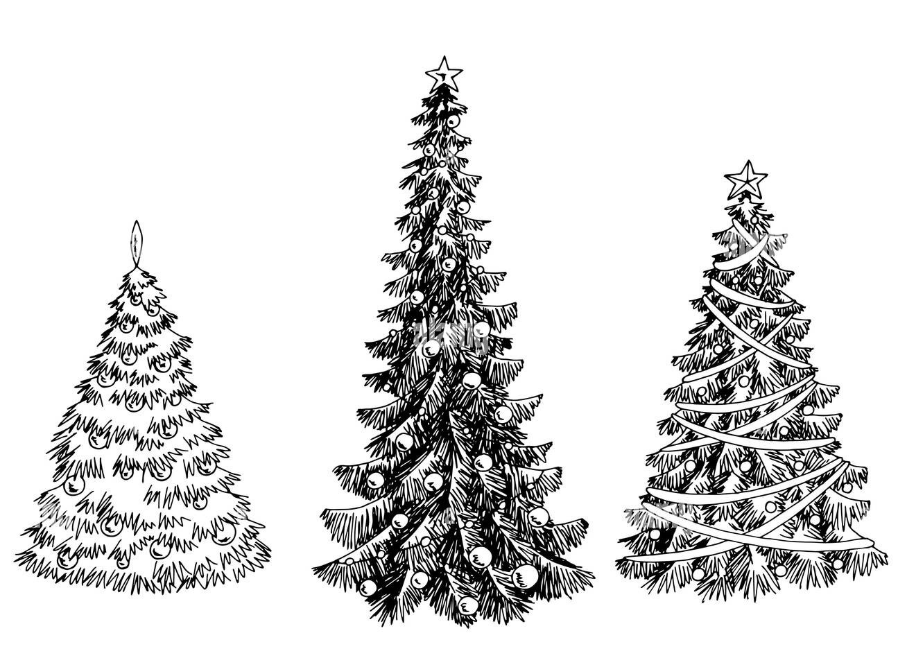 christmas-trees-garliavos-medelynas